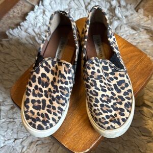 Steve Madden Leopard Print Slip-On Sneakers